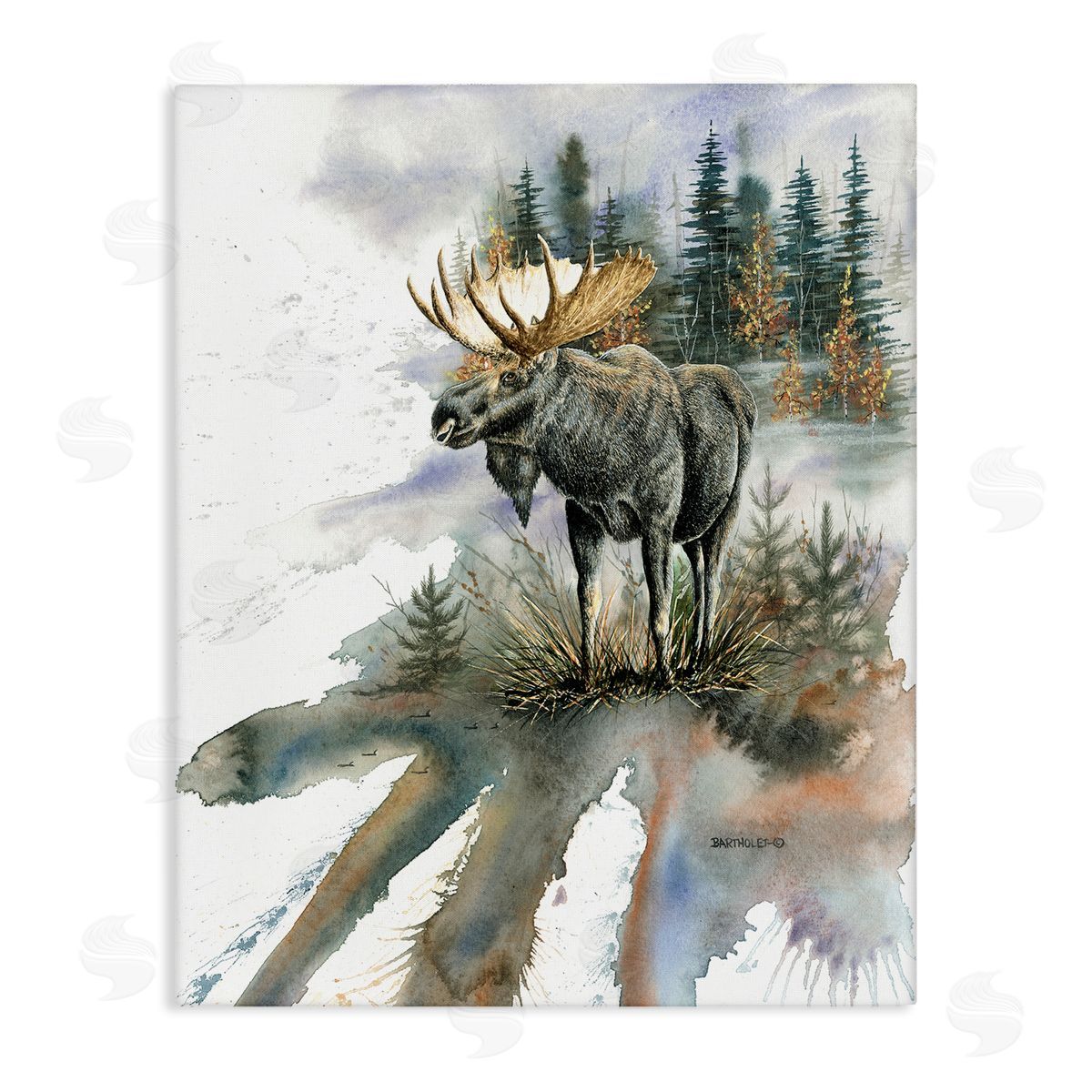 Dave Bartholet Moose Distant Forest Arrangement