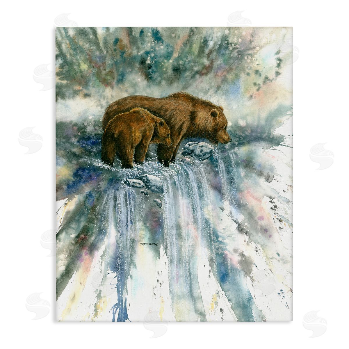 Dave Bartholet Two Bears Waterfall Nature 