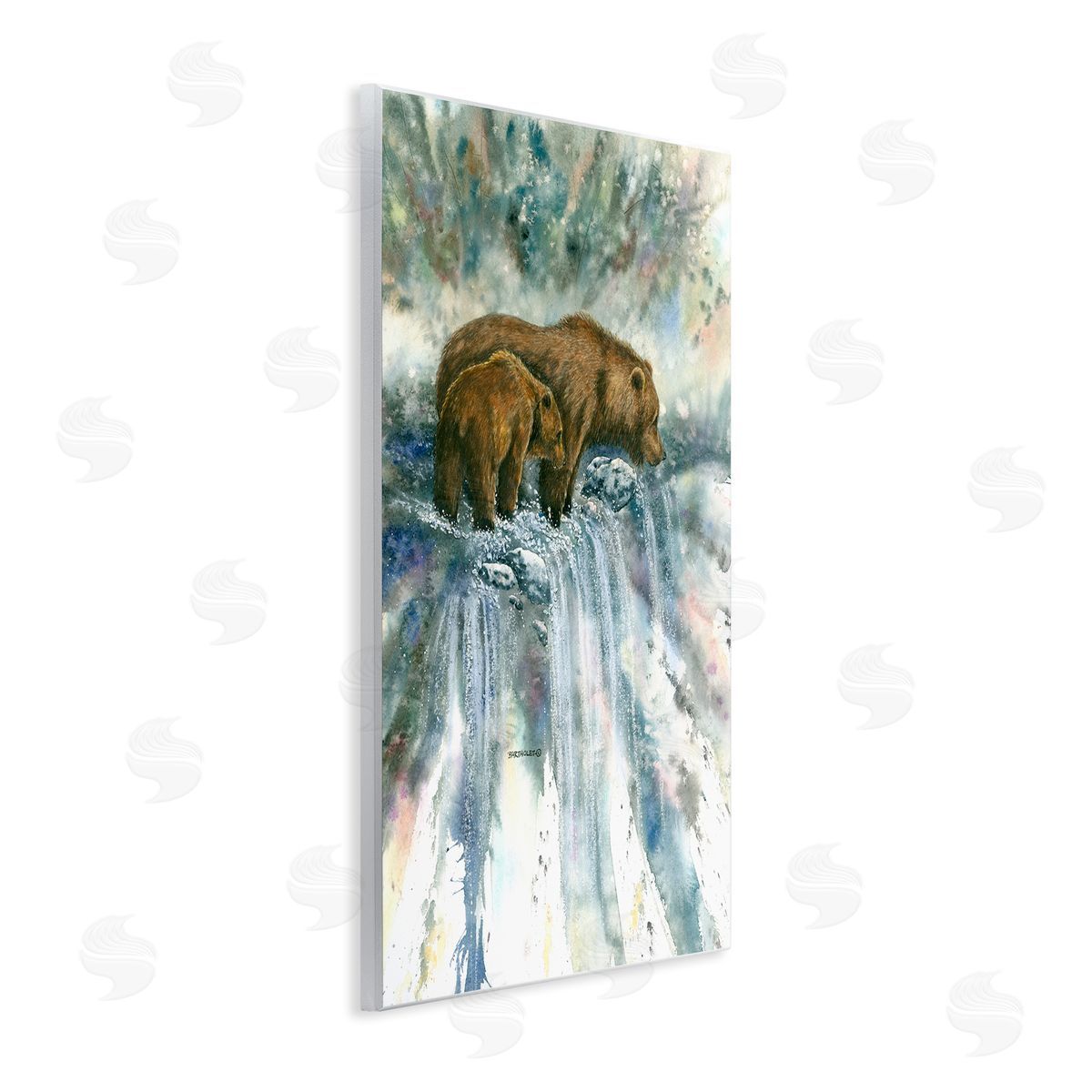 Dave Bartholet Two Bears Waterfall Nature 