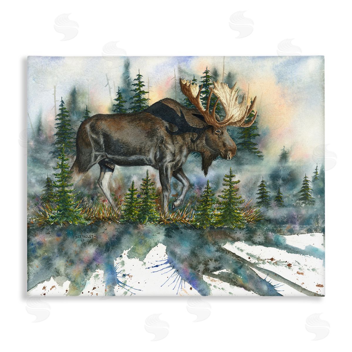 Dave Bartholet Wild Moose Forest Nature Scene