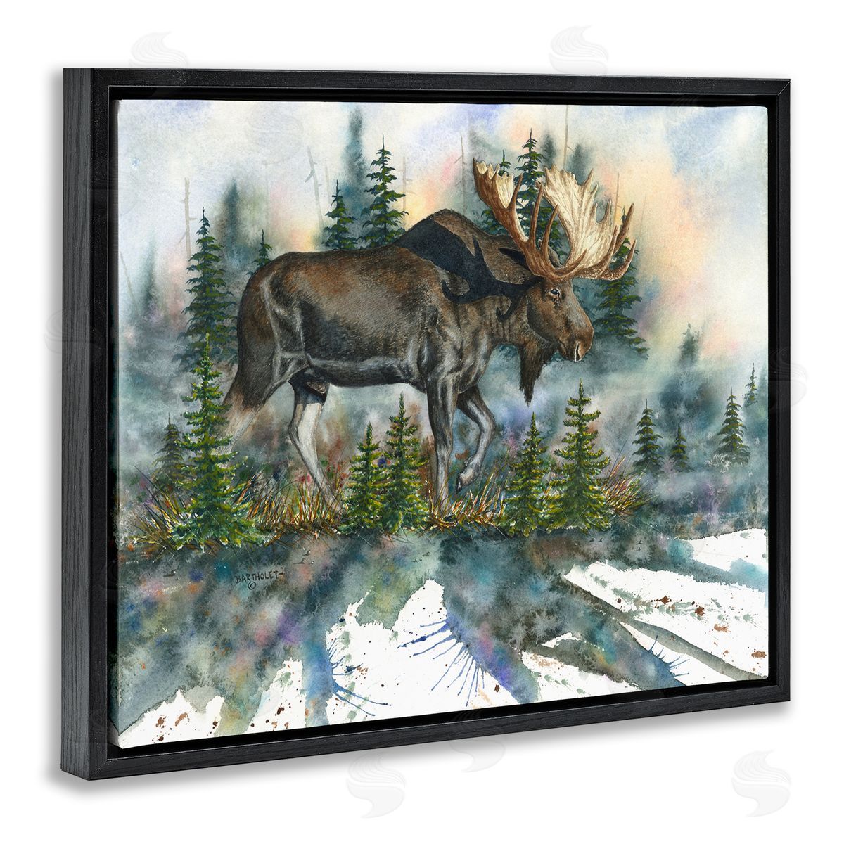 Dave Bartholet Wild Moose Forest Nature Scene