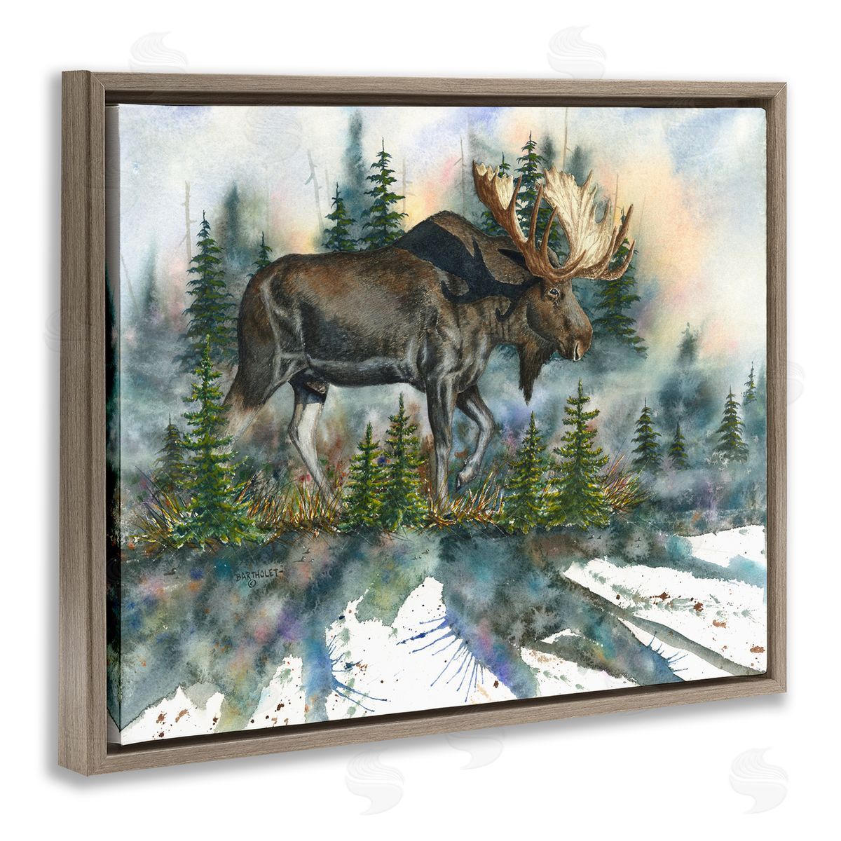 Dave Bartholet Wild Moose Forest Nature Scene