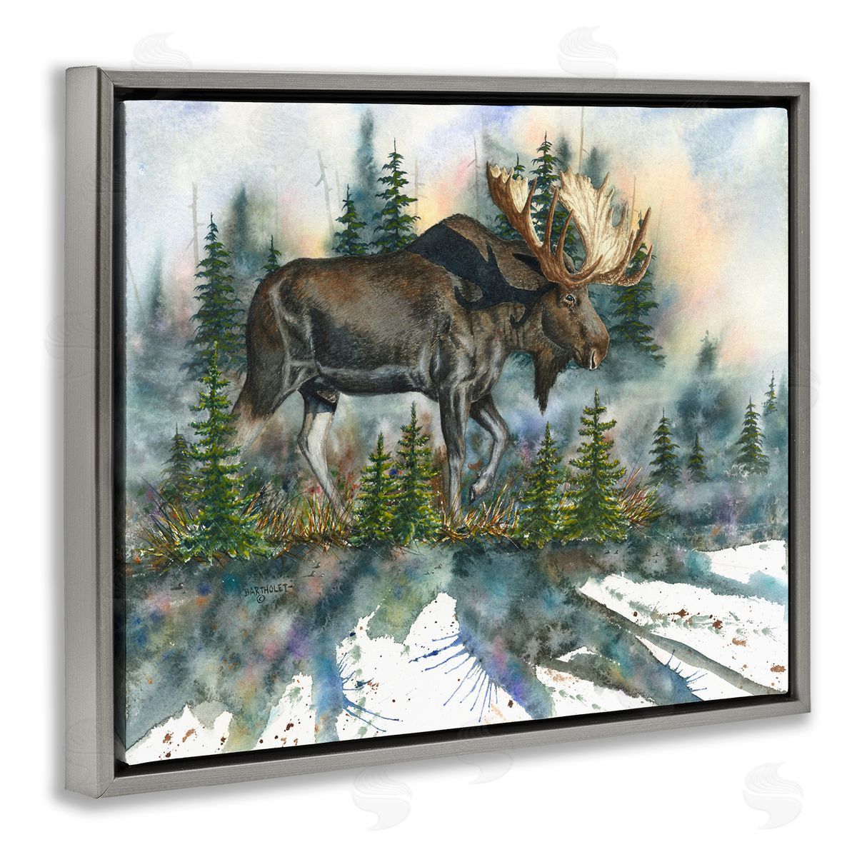 Dave Bartholet Wild Moose Forest Nature Scene