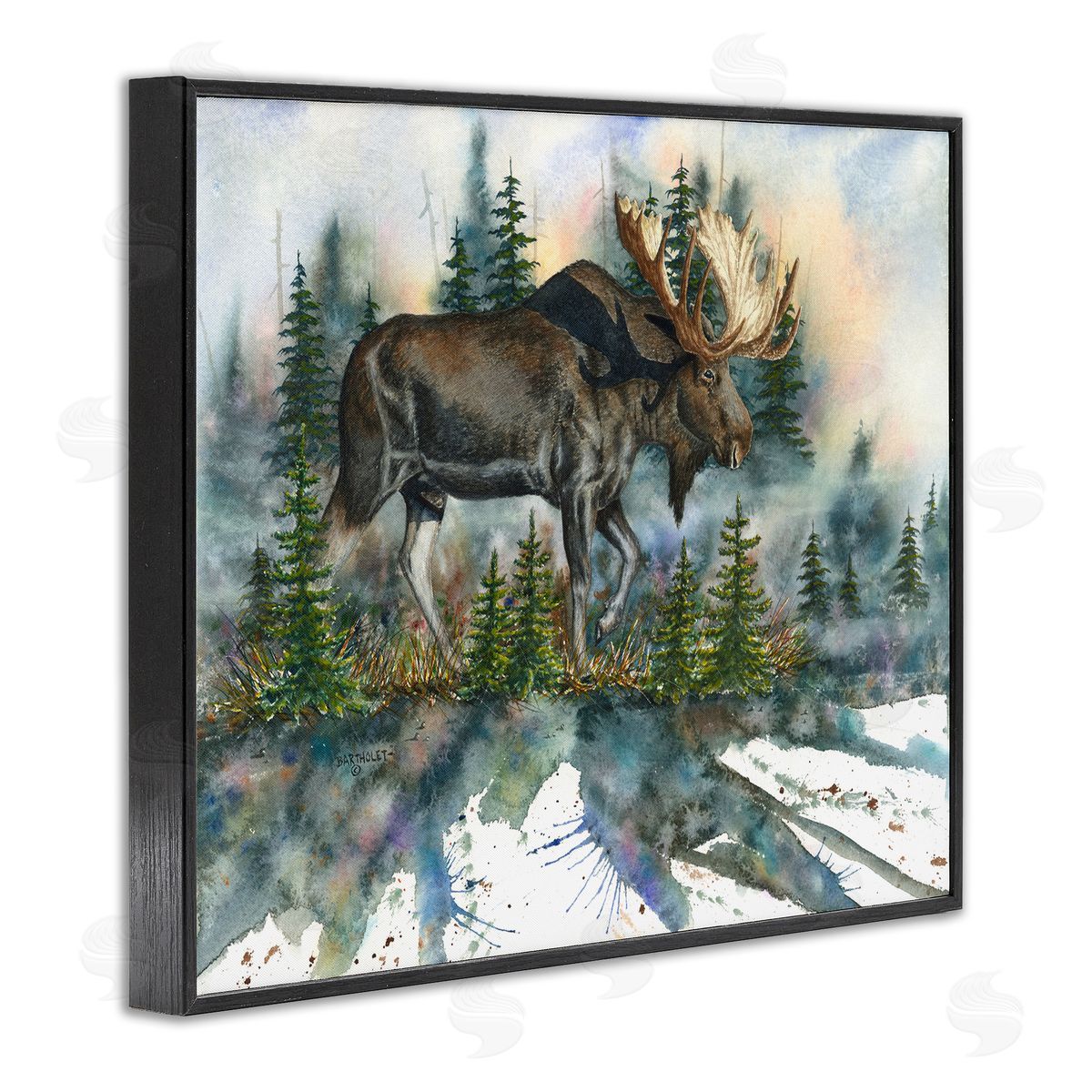 Dave Bartholet Wild Moose Forest Nature Scene