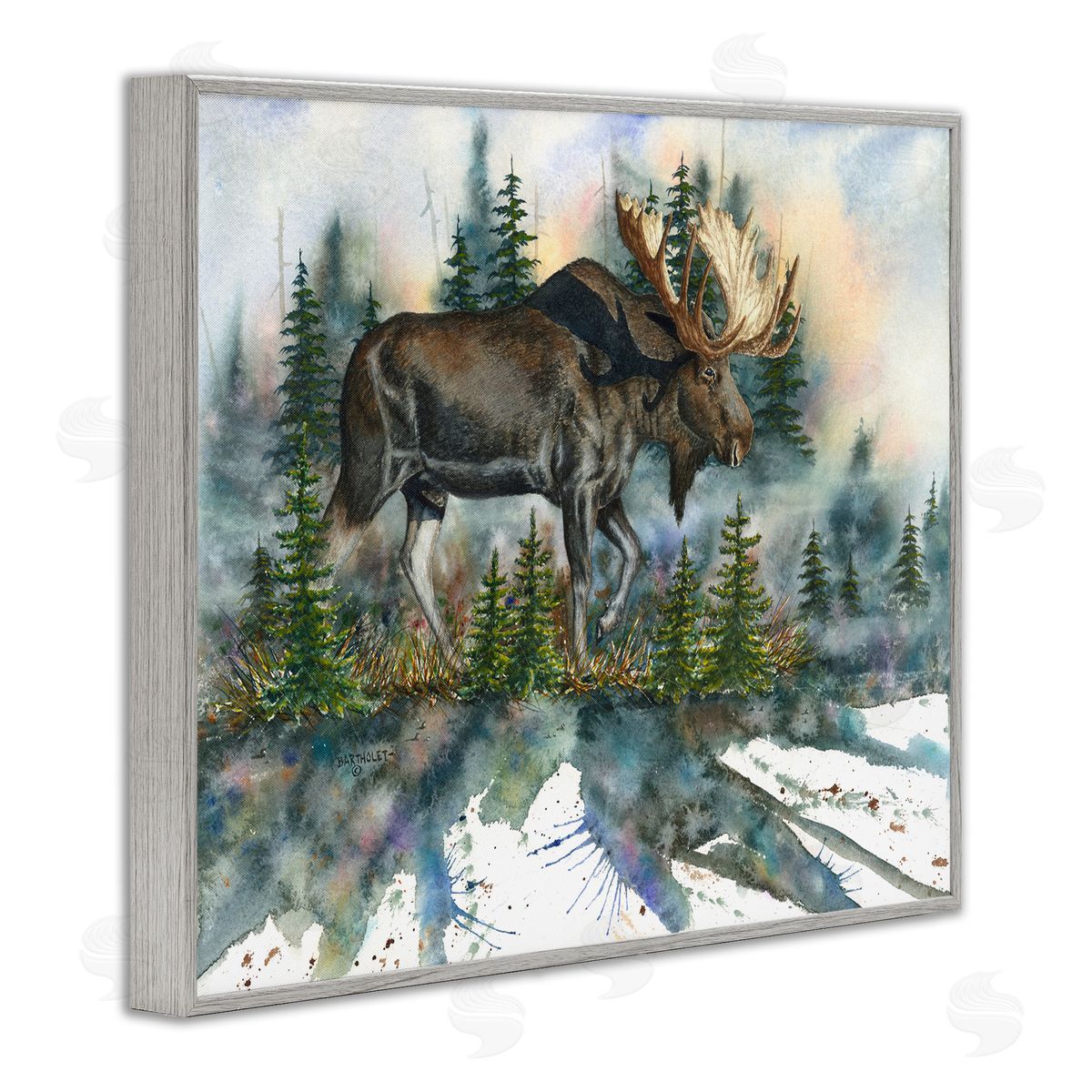 Dave Bartholet Wild Moose Forest Nature Scene