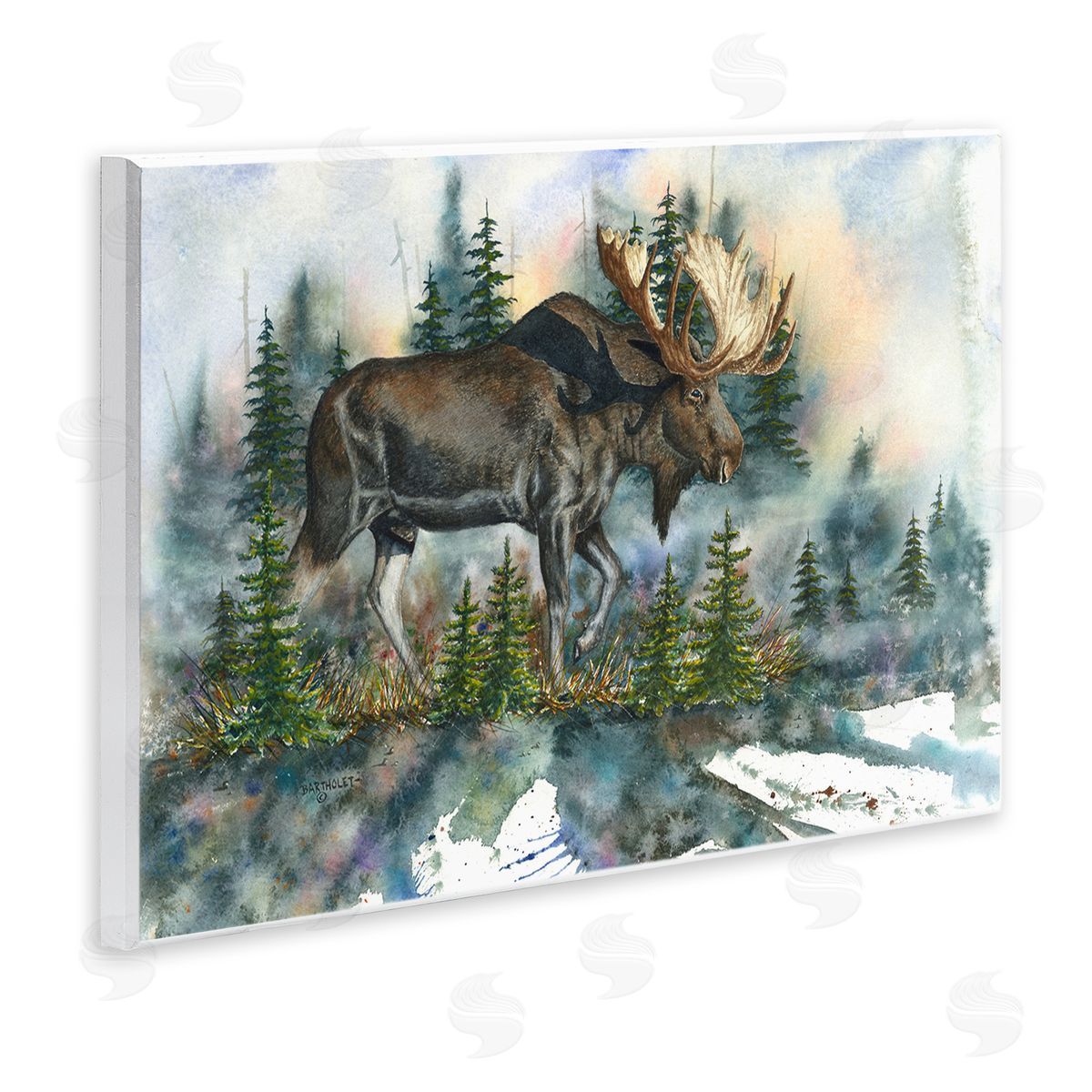 Dave Bartholet Wild Moose Forest Nature Scene