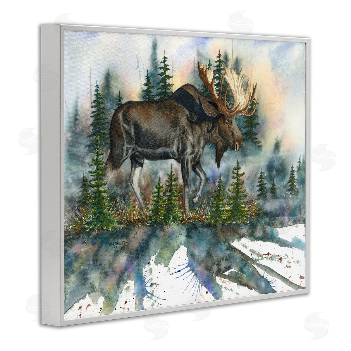 Dave Bartholet Wild Moose Forest Nature Scene