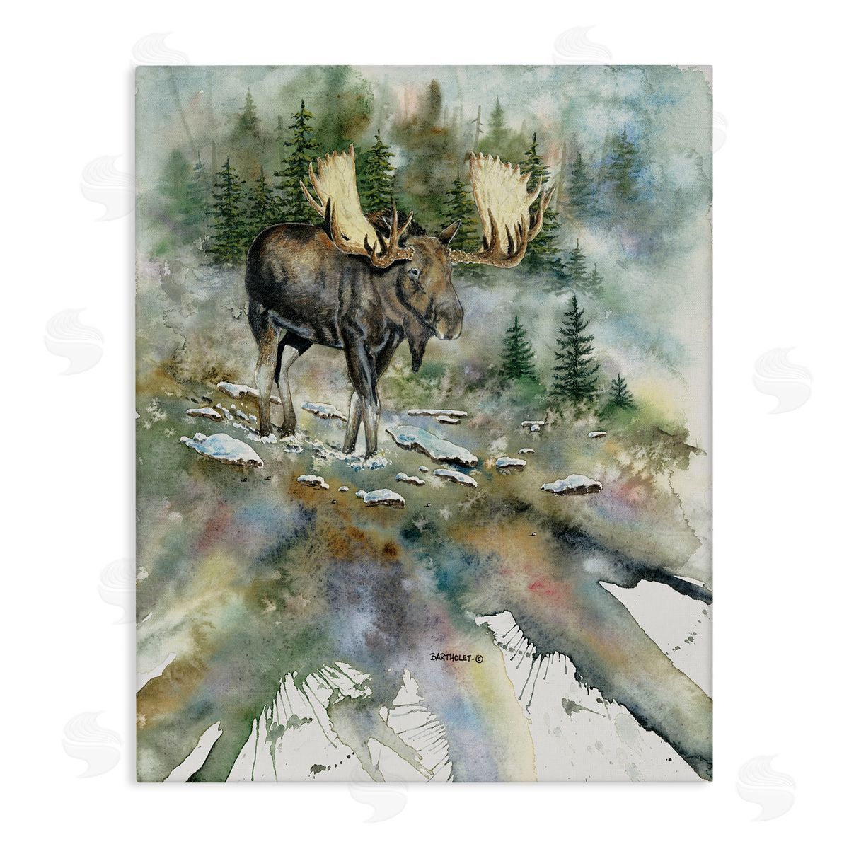 Dave Bartholet Moose Stepping Nature Wildlife