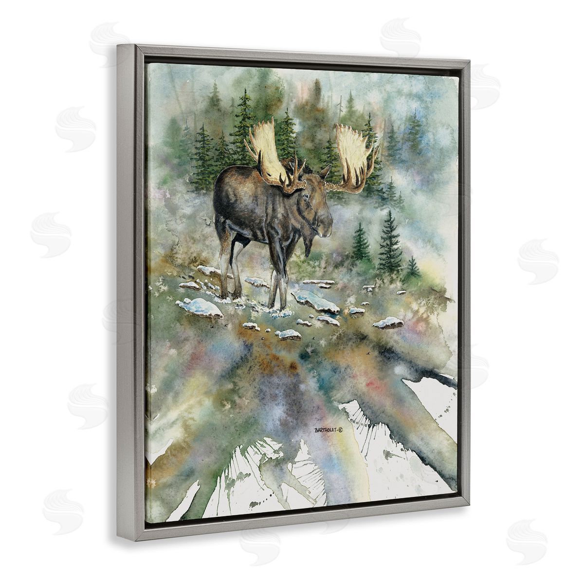 Dave Bartholet Moose Stepping Nature Wildlife