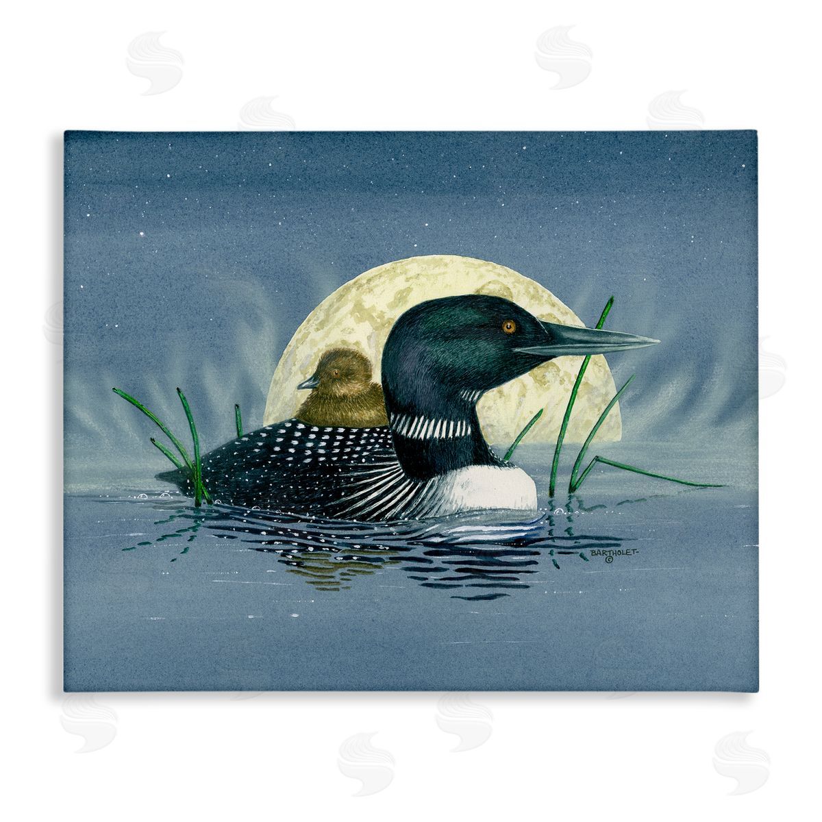 Dave Bartholet Mallard Duck Moonlit Pond