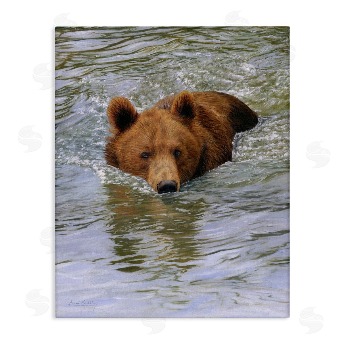David Stribbling Brown Bear Lake Water Splash