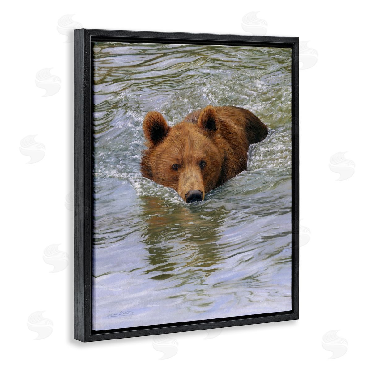 David Stribbling Brown Bear Lake Water Splash