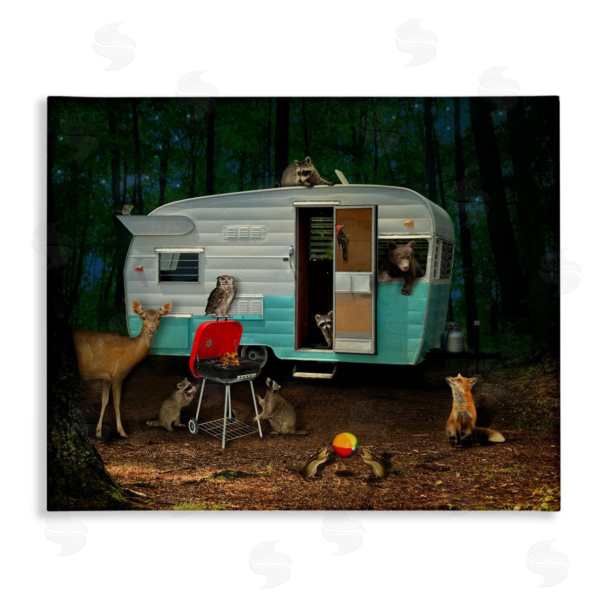 John Hovenstine RV Camping Woodland Wildlife Animals