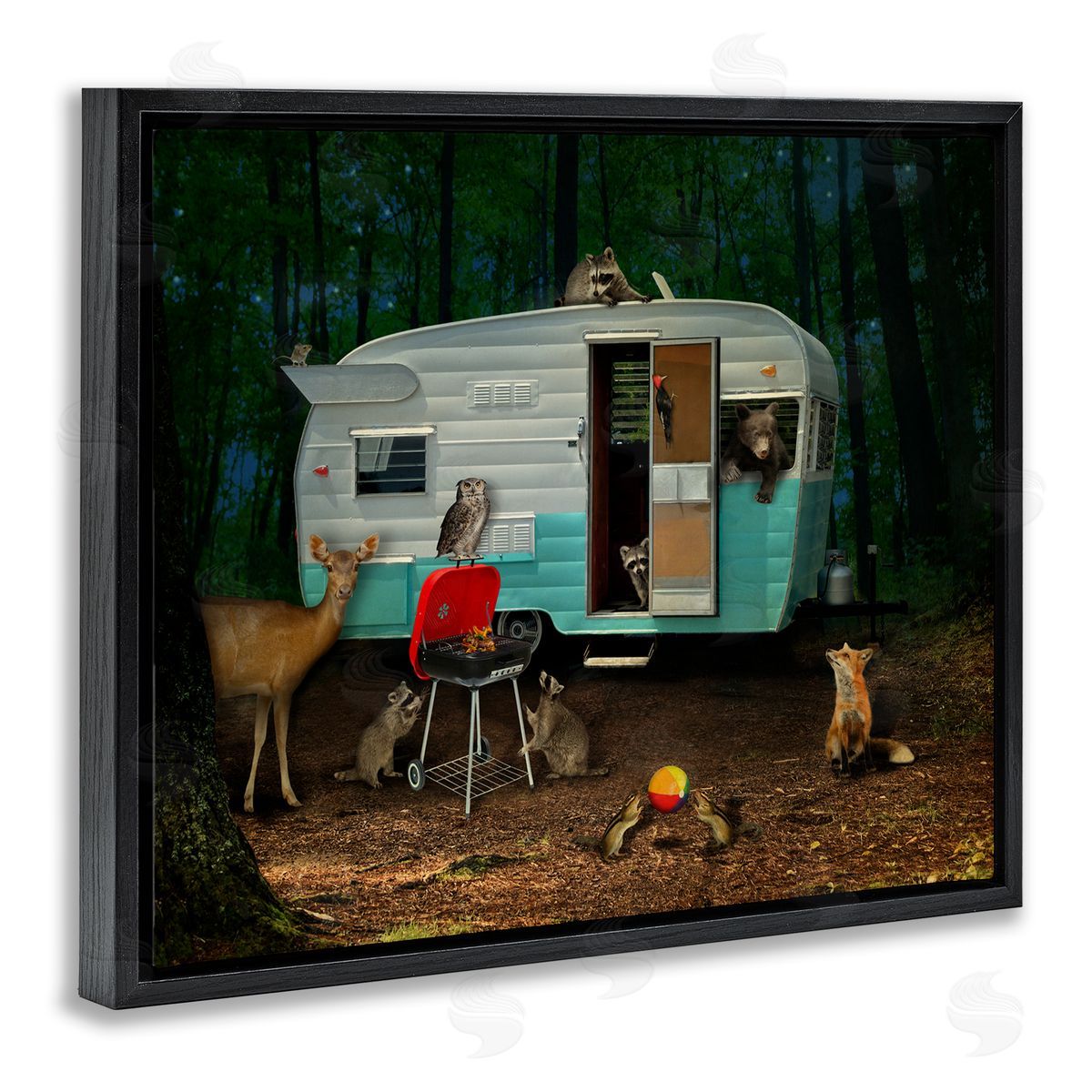 John Hovenstine RV Camping Woodland Wildlife Animals