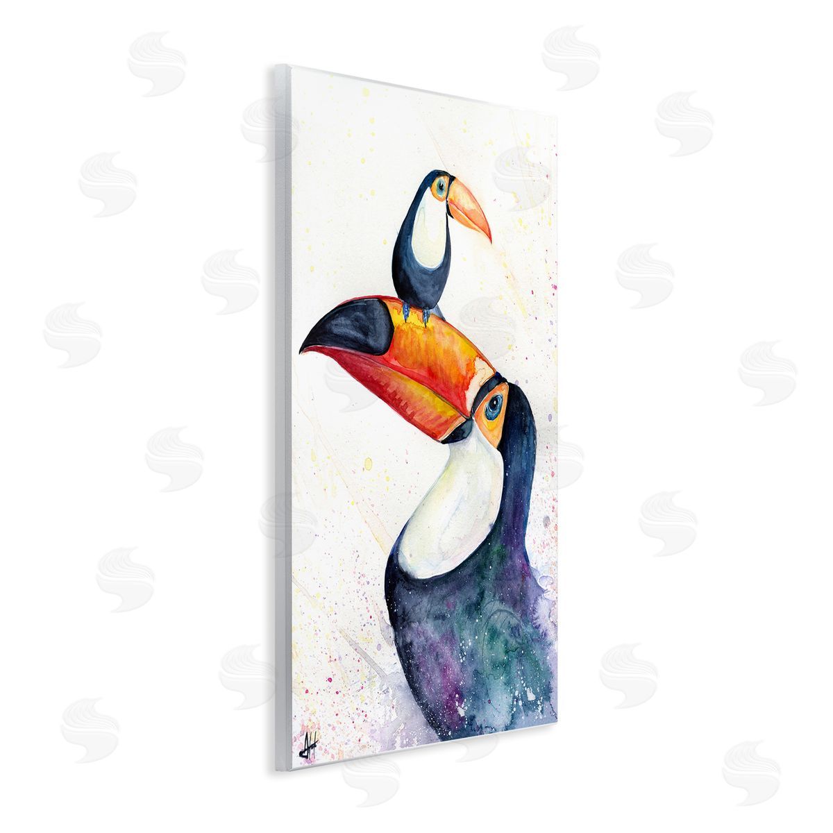 Marc Allante Toucan Baby & Mother Perched