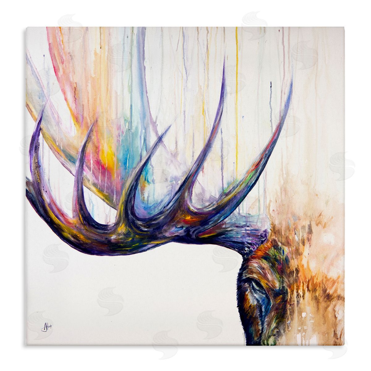 Marc Allante Wildlife Elk Antler Portrait Stretched Canvas Wall Art Print