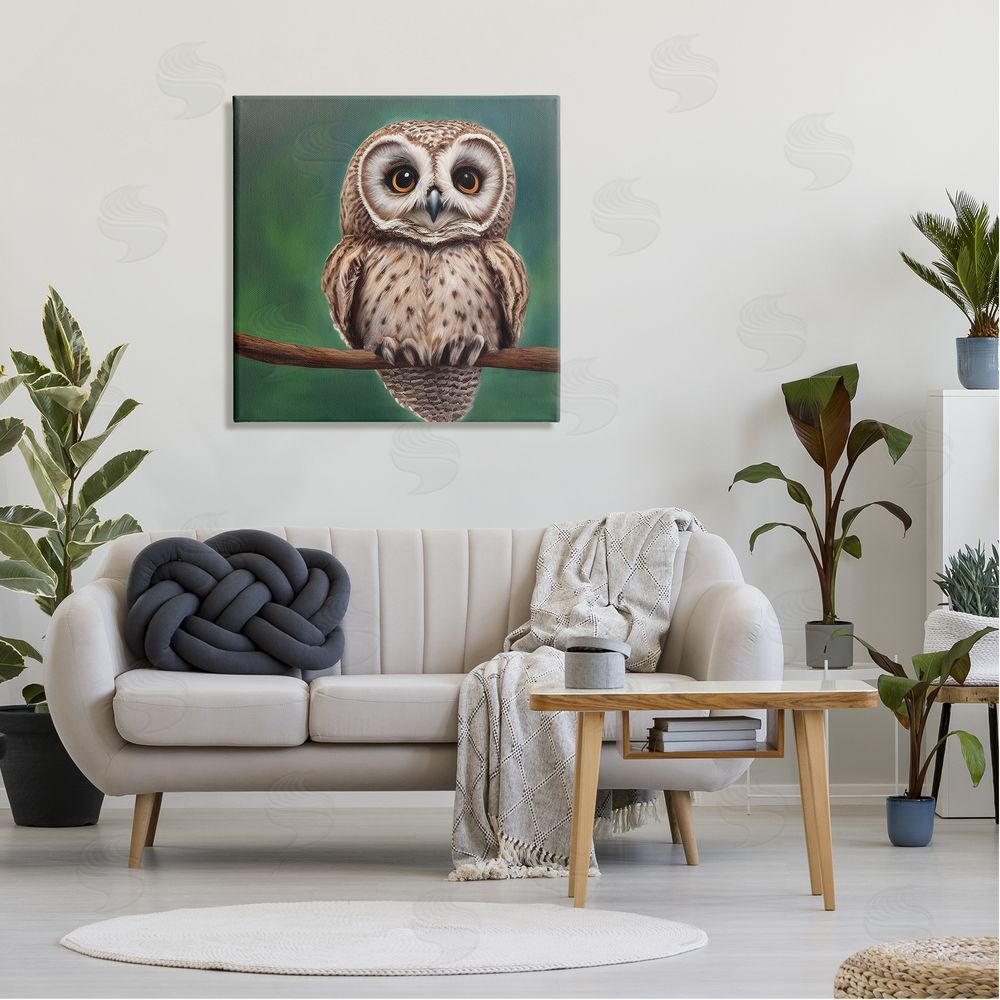 Alpenglow Workshop Gazing Spotted Owl Nature Canvas Wall Art in Room