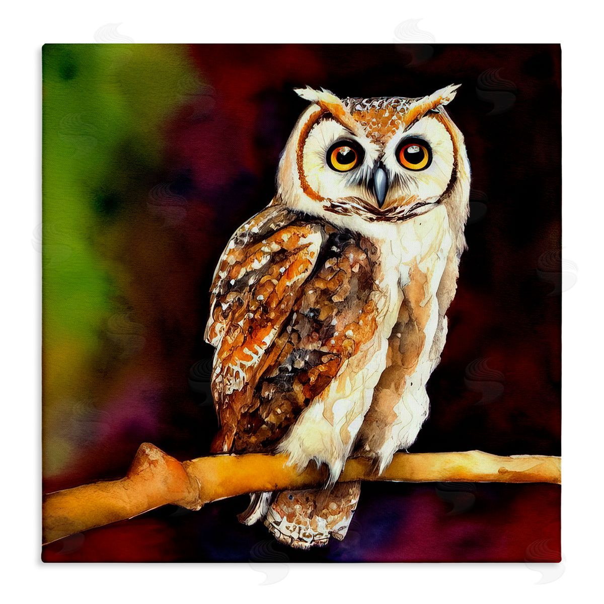 Alpenglow Workshop Intense Owl Gazing Perched Stretched Canvas Wall Art Print