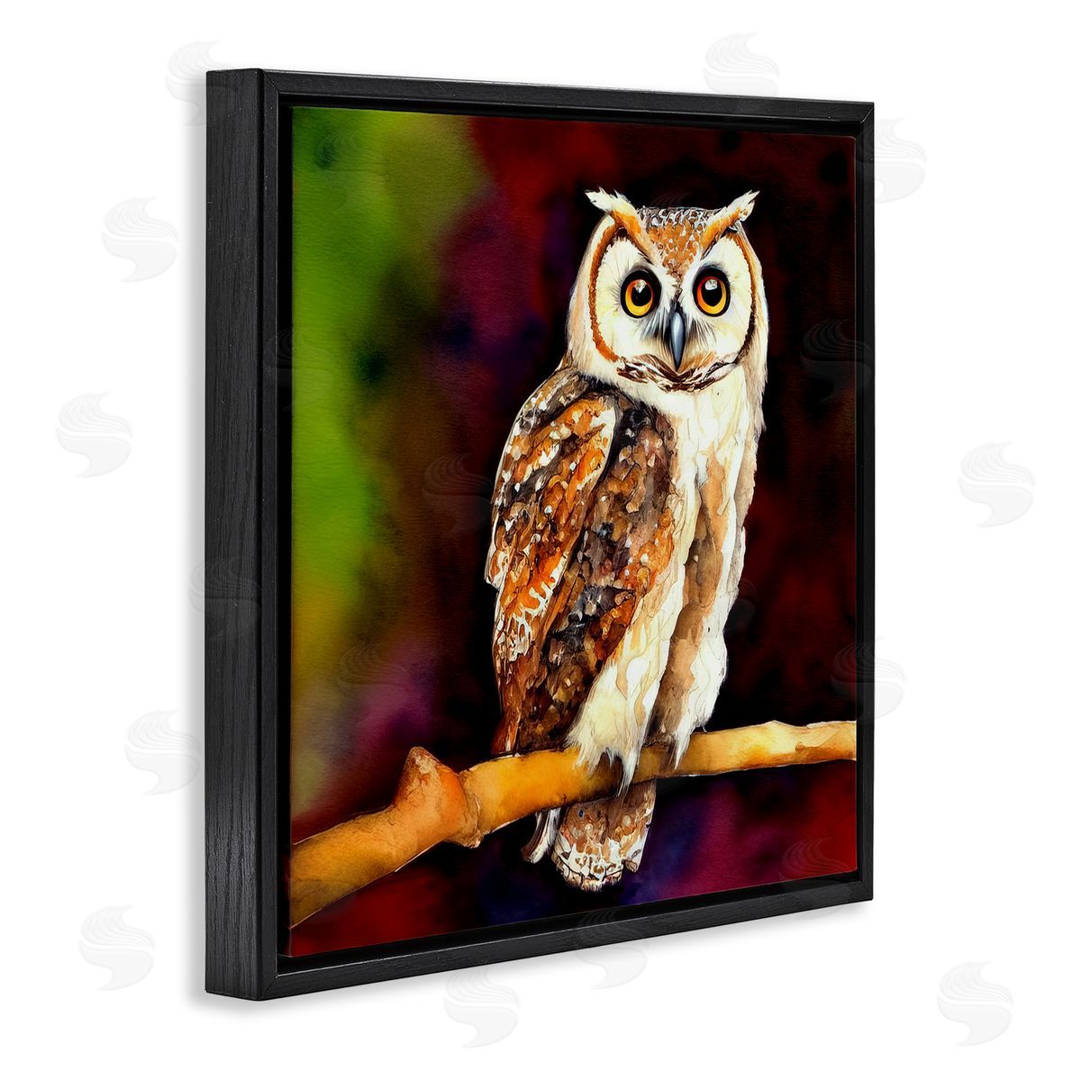 Alpenglow Workshop Intense Owl Gazing Perched Black Floating Frame Canvas Wall Art Print