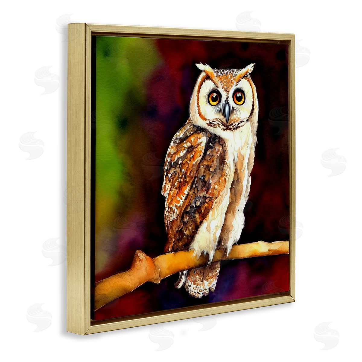 Alpenglow Workshop Intense Owl Gazing Perched Gold Floating Frame Canvas Wall Art Print