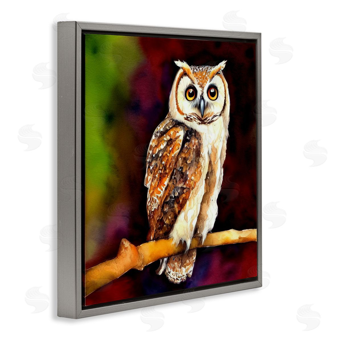 Alpenglow Workshop Intense Owl Gazing Perched Gray Floating Frame Canvas Wall Art Print