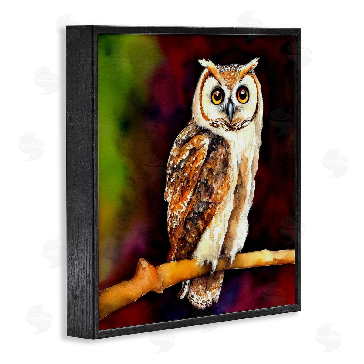 Alpenglow Workshop Intense Owl Gazing Perched Black Framed Glicee Wall Art Print