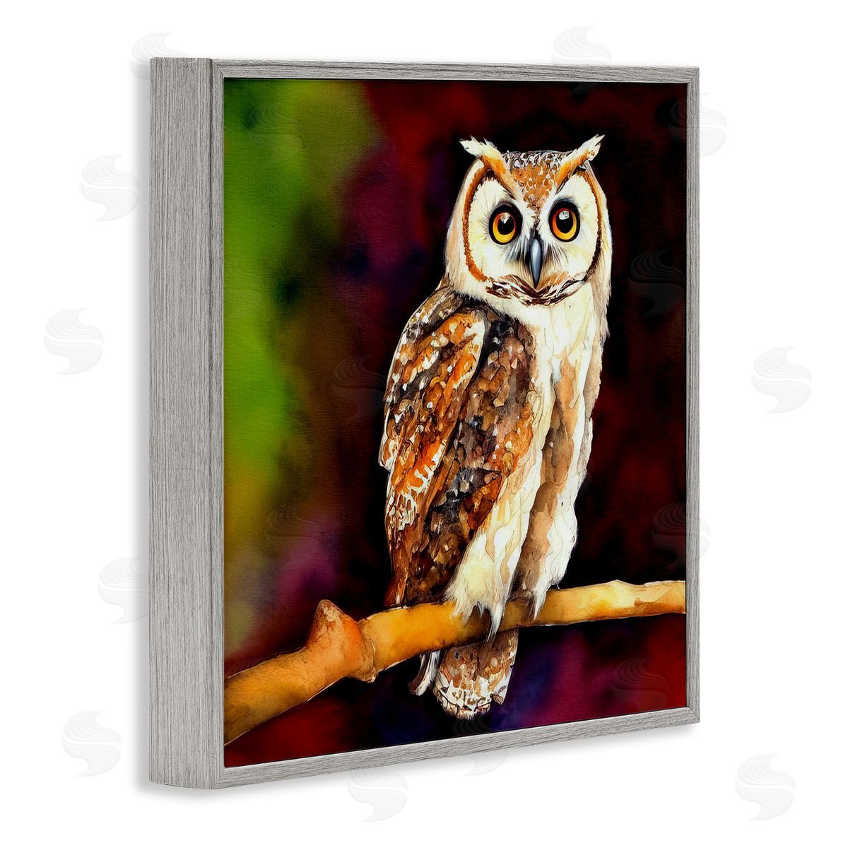 Alpenglow Workshop Intense Owl Gazing Perched Gray Framed Glicee Wall Art Print