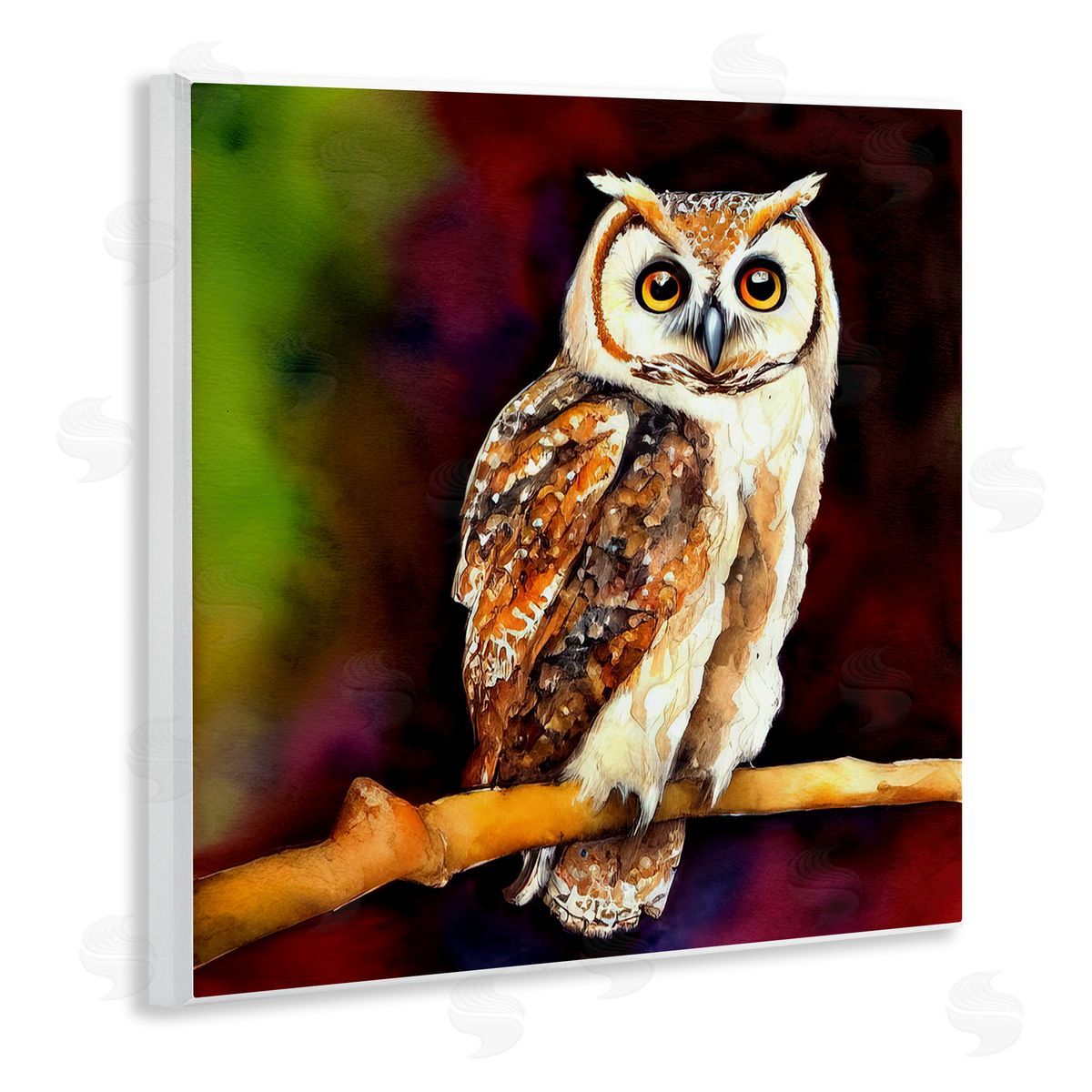 Alpenglow Workshop Intense Owl Gazing Perched Wooden Wall Plaque Art Print
