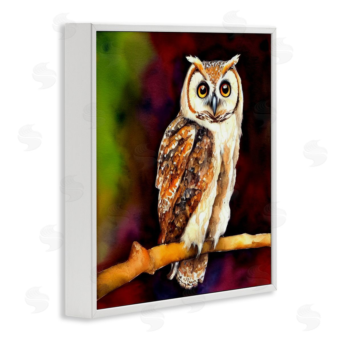 Alpenglow Workshop Intense Owl Gazing Perched White Framed Glicee Wall Art Print