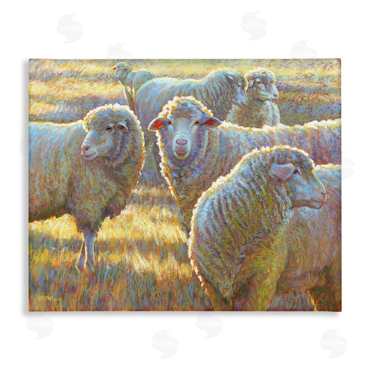 Rita Kirkman Sheep Herd Grazing Grassland