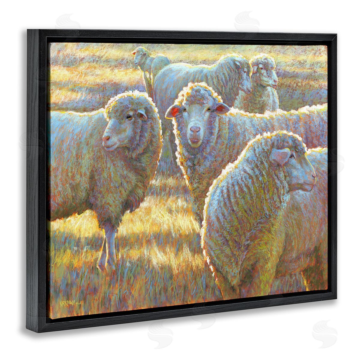Rita Kirkman Sheep Herd Grazing Grassland