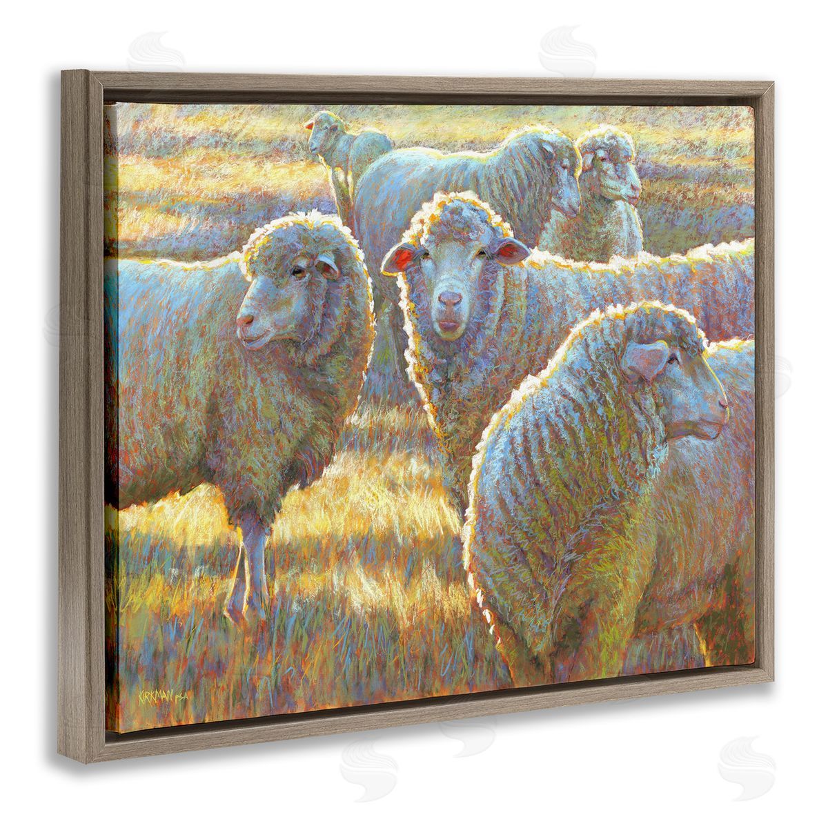 Rita Kirkman Sheep Herd Grazing Grassland