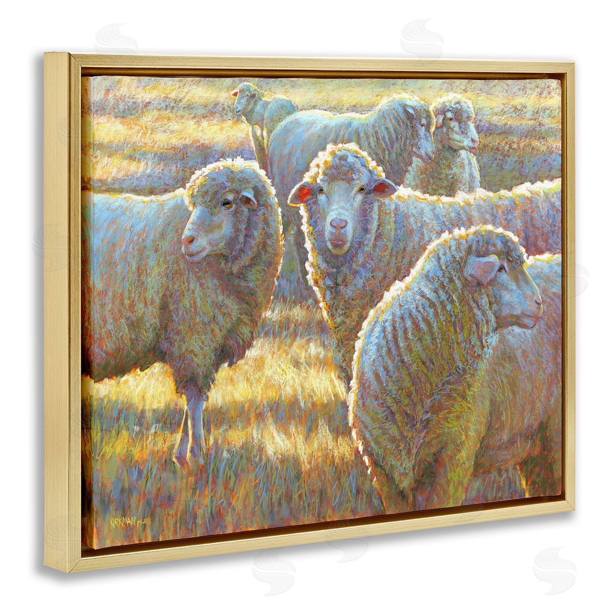 Rita Kirkman Sheep Herd Grazing Grassland