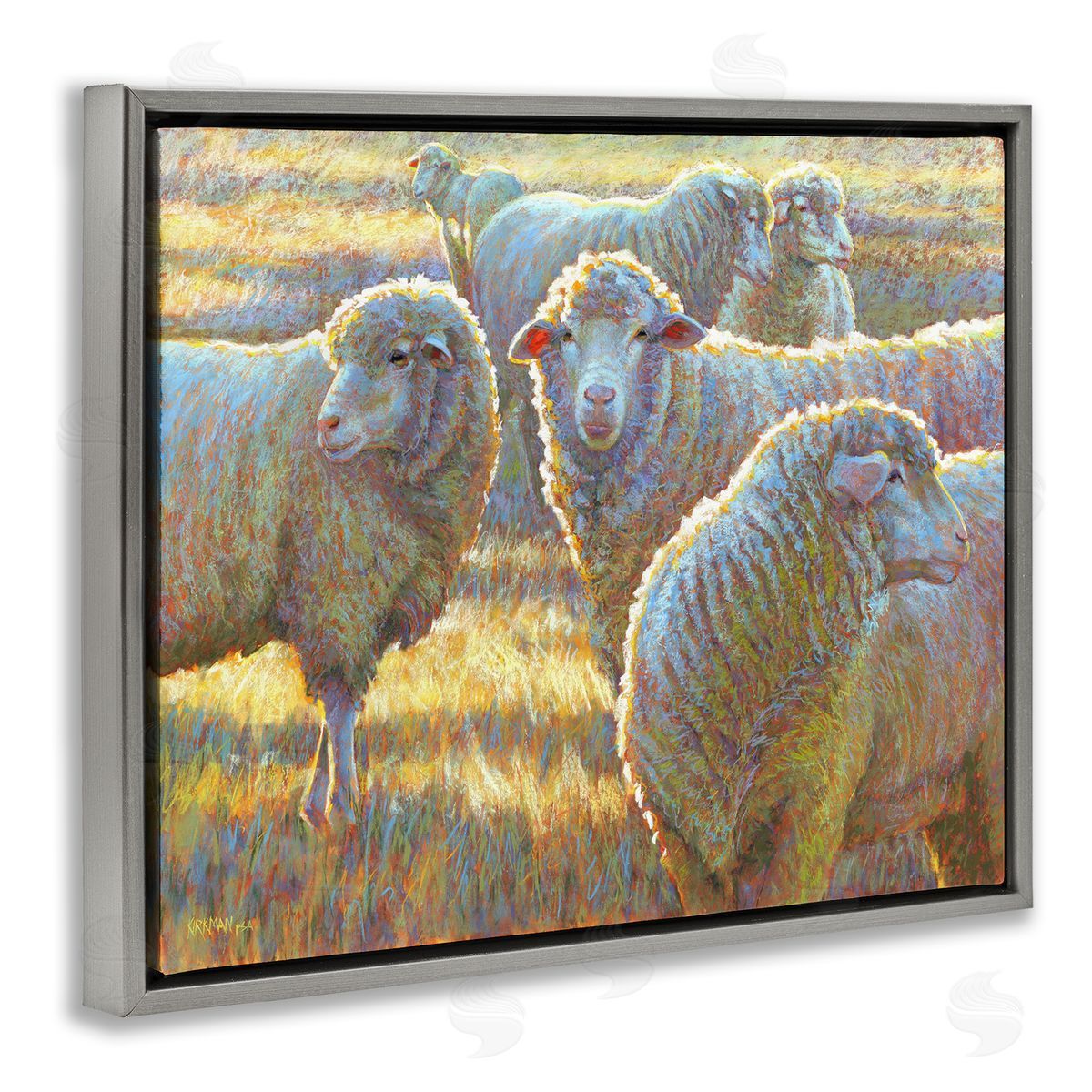 Rita Kirkman Sheep Herd Grazing Grassland