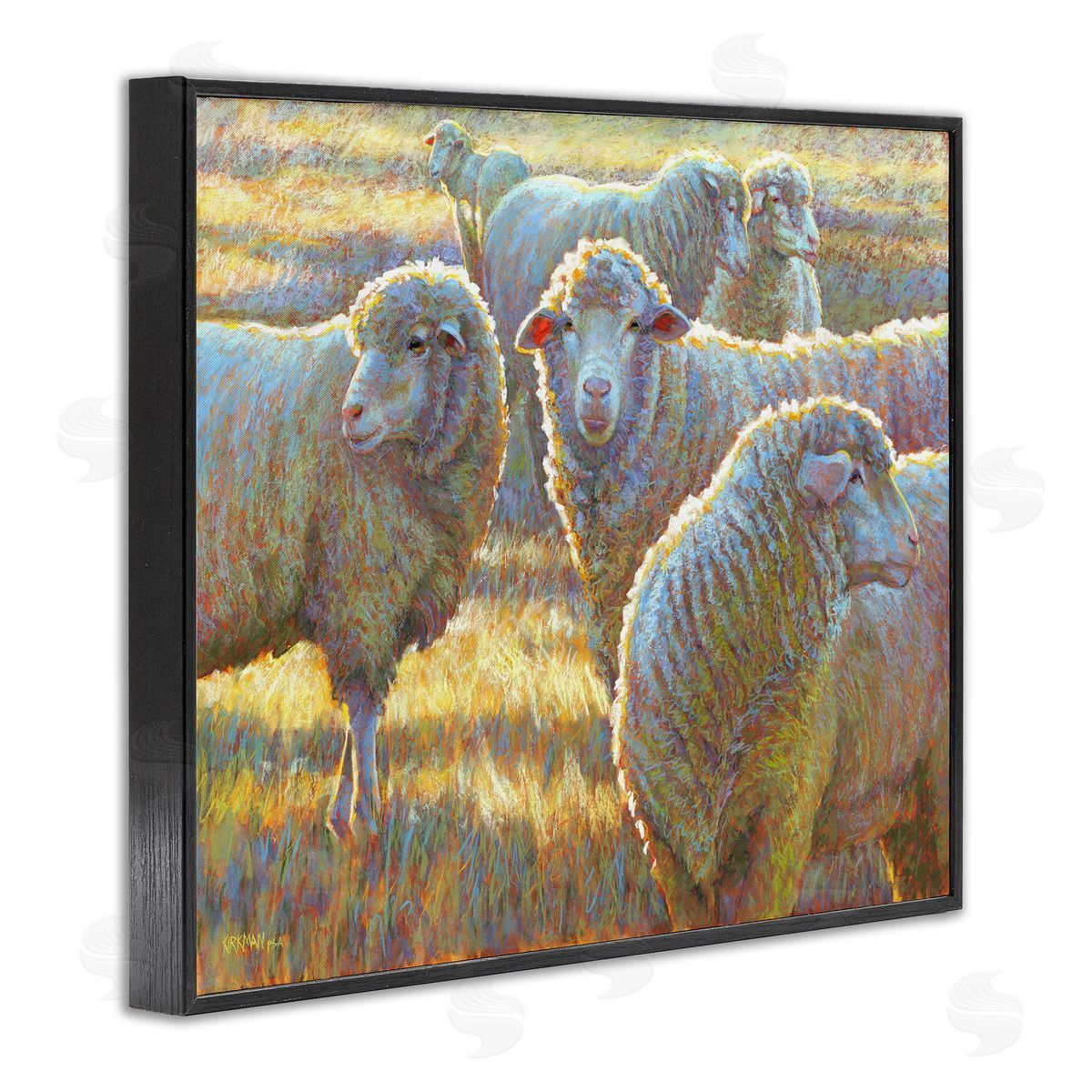 Rita Kirkman Sheep Herd Grazing Grassland