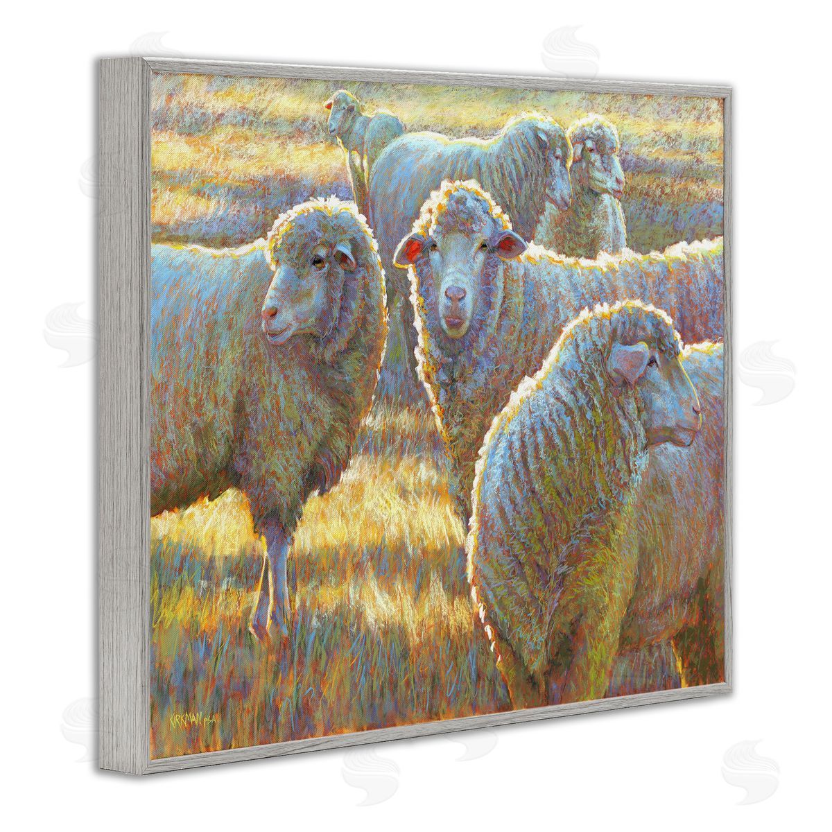Rita Kirkman Sheep Herd Grazing Grassland