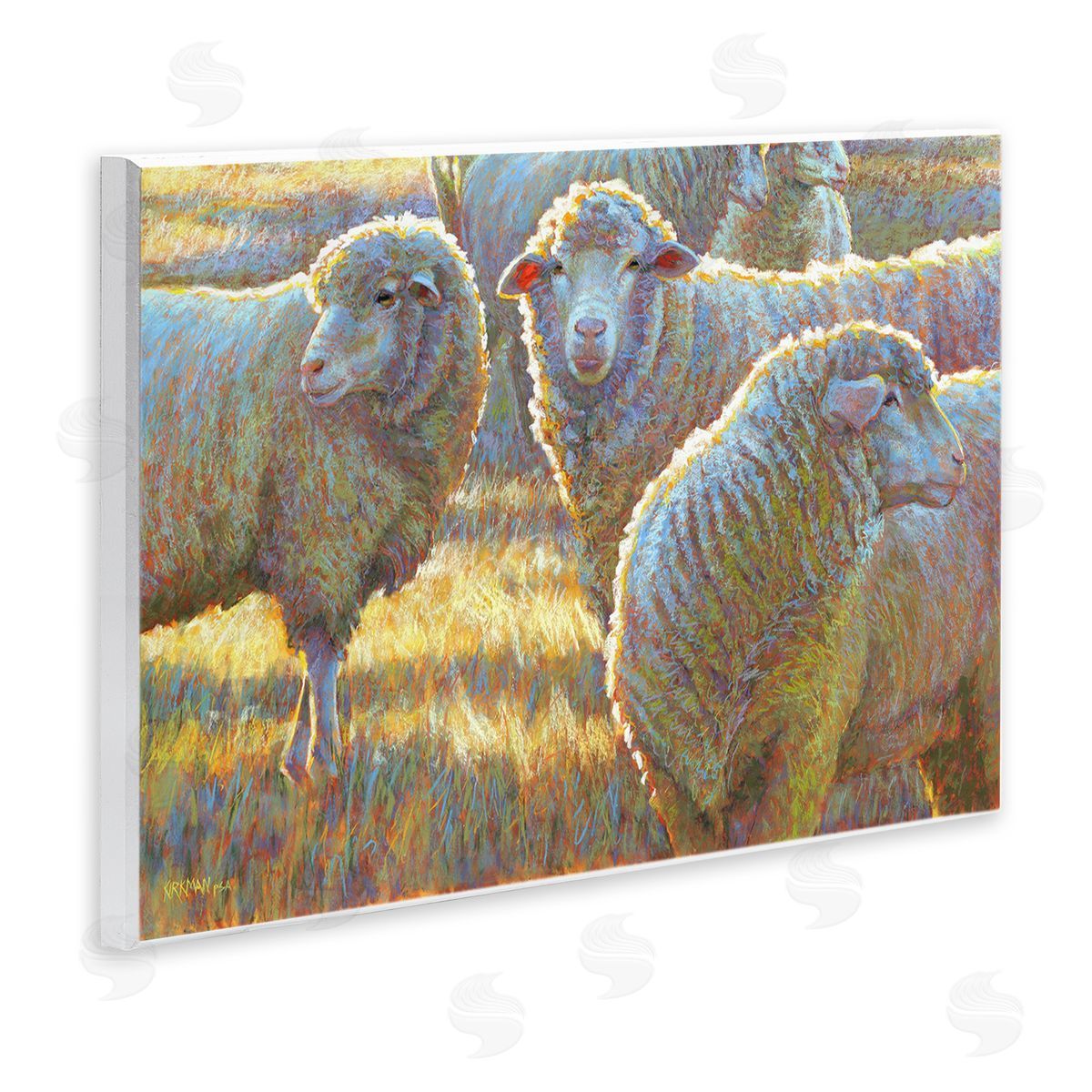 Rita Kirkman Sheep Herd Grazing Grassland