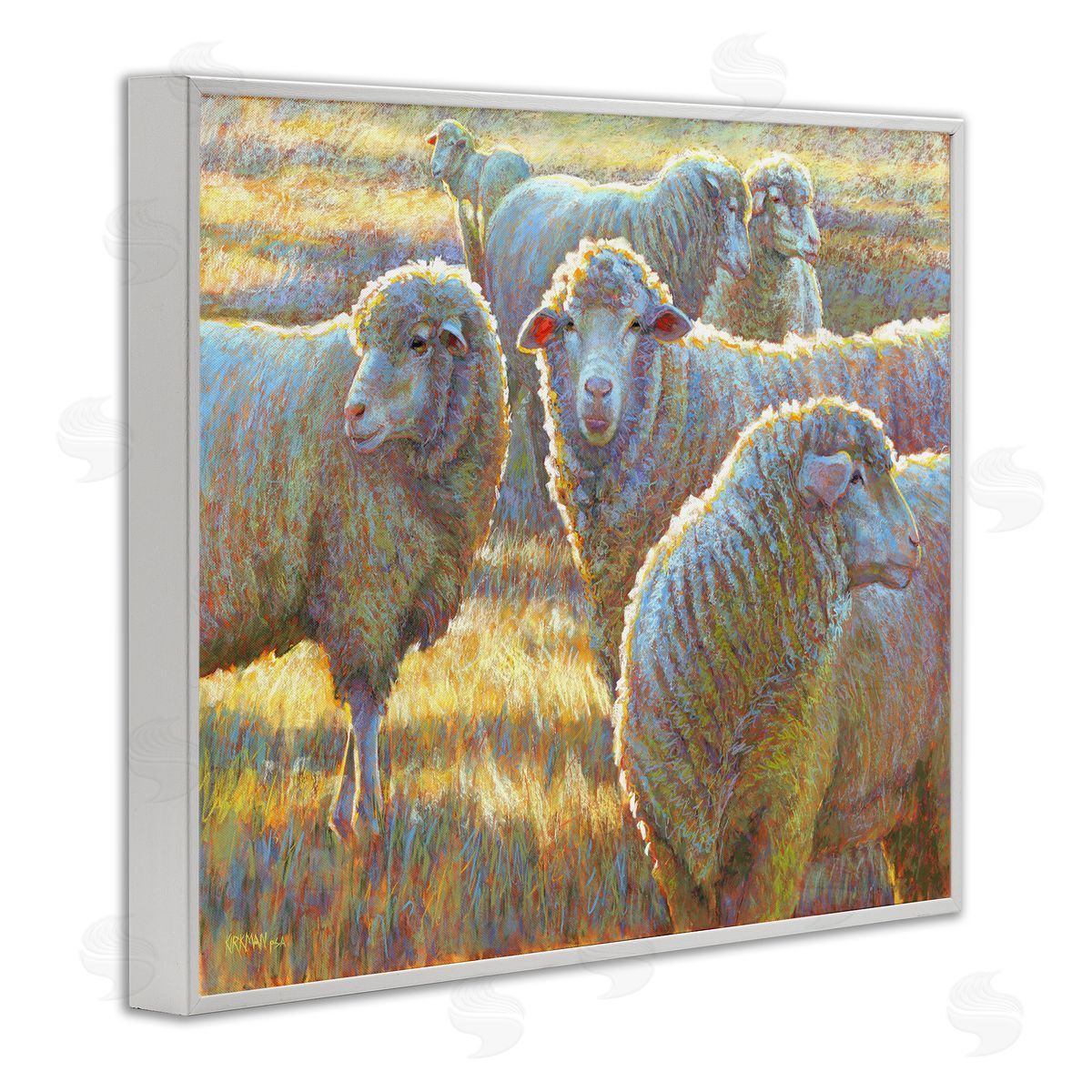 Rita Kirkman Sheep Herd Grazing Grassland