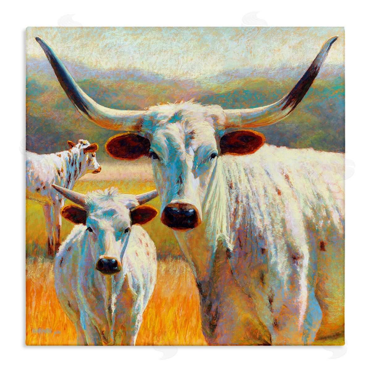 Rita Kirkman White Longhorn Cattle Farmland Stretched Canvas Wall Art Print