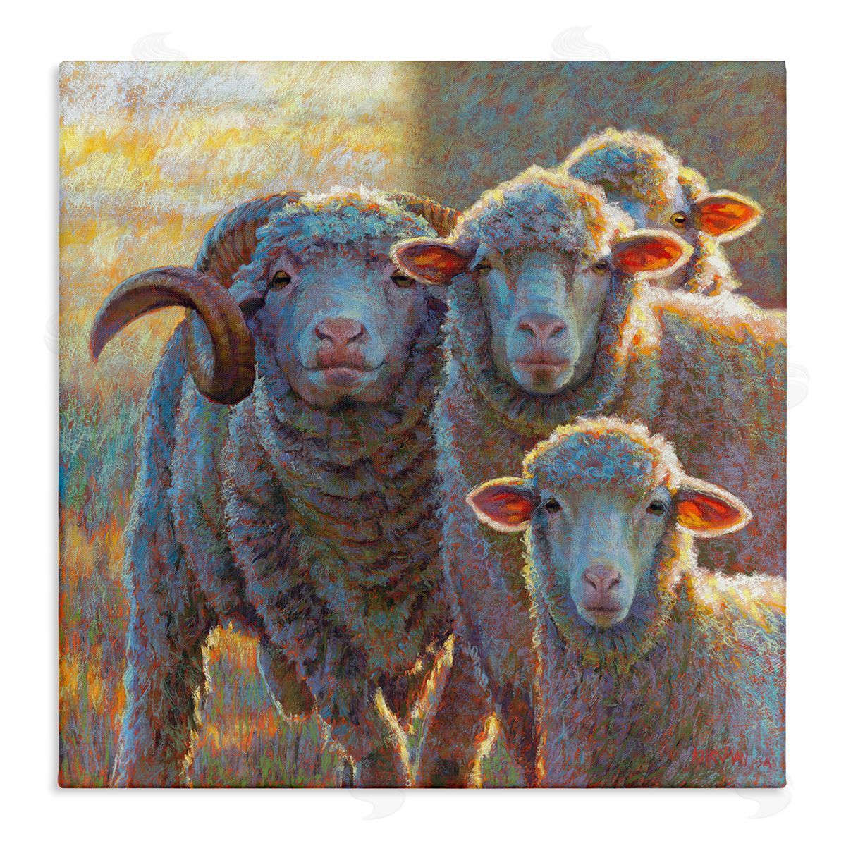 Rita Kirkman Sunlit Sheep Family Farm Animals Stretched Canvas Wall Art Print