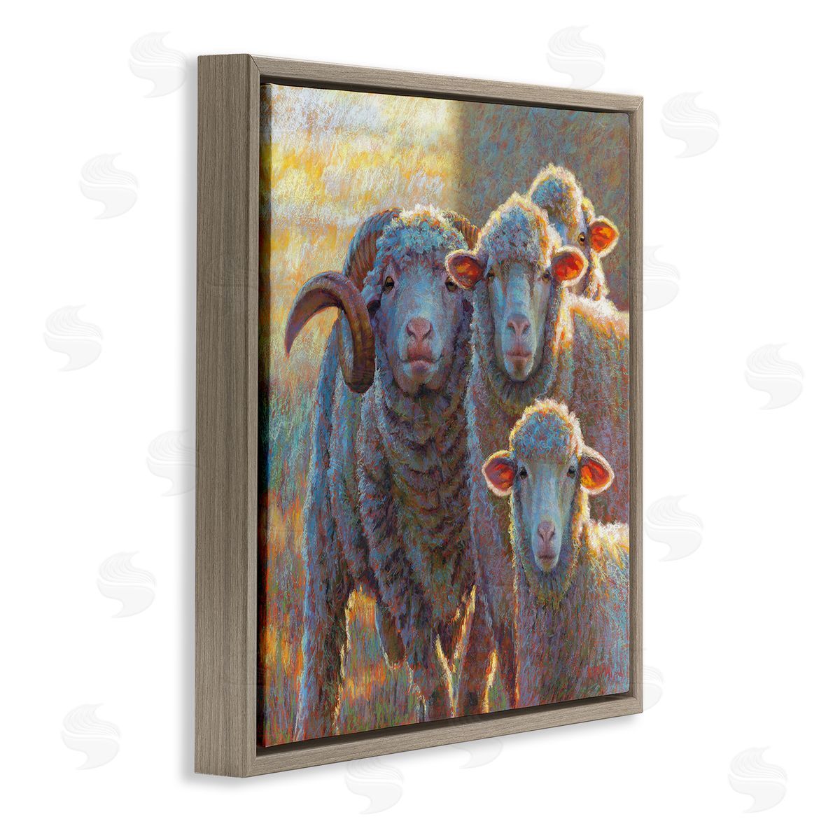 Rita Kirkman Sunlit Sheep Family Farm Animals Brown Floating Frame Canvas Wall Art Print