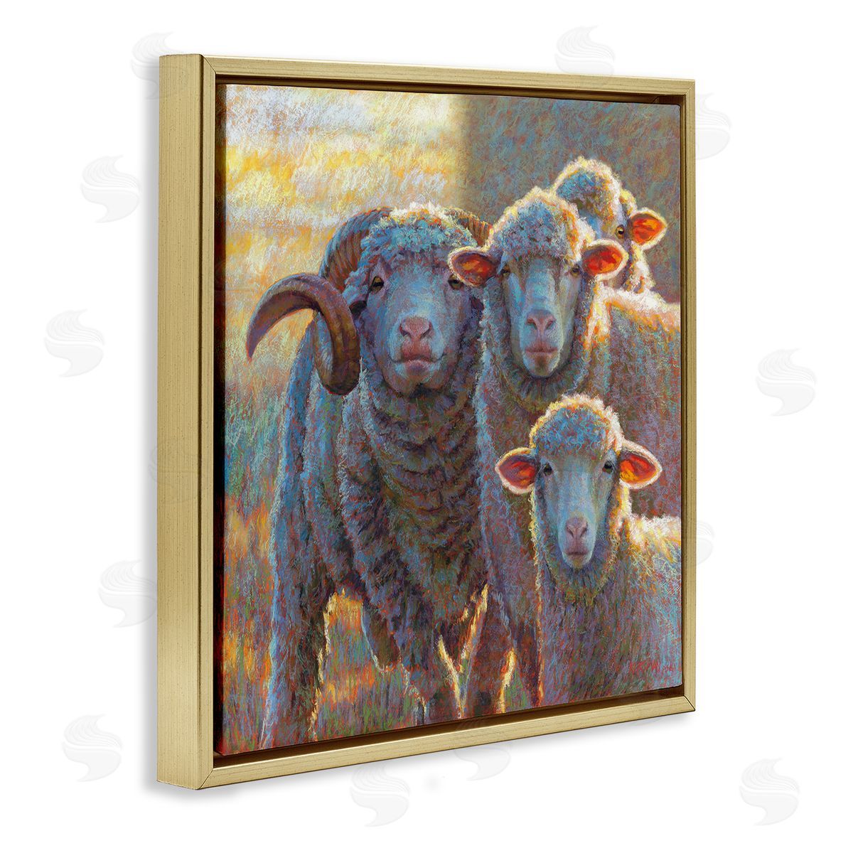Rita Kirkman Sunlit Sheep Family Farm Animals Gold Floating Frame Canvas Wall Art Print