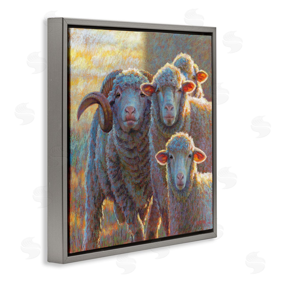Rita Kirkman Sunlit Sheep Family Farm Animals Gray Floating Frame Canvas Wall Art Print