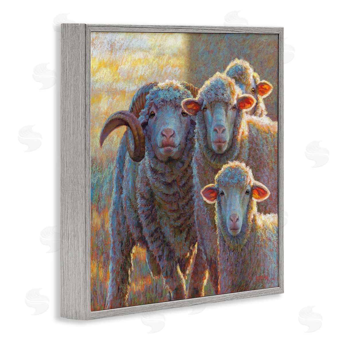 Rita Kirkman Sunlit Sheep Family Farm Animals Gray Framed Glicee Wall Art Print