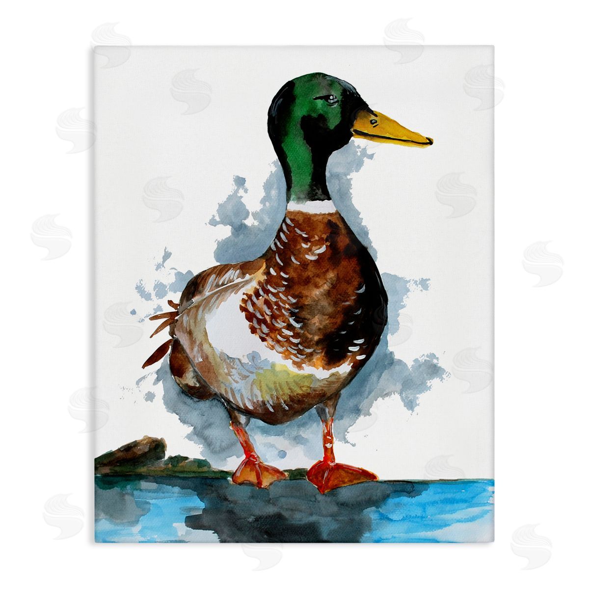 Sebastian Grafmann Mallard Duck Water's Edge 