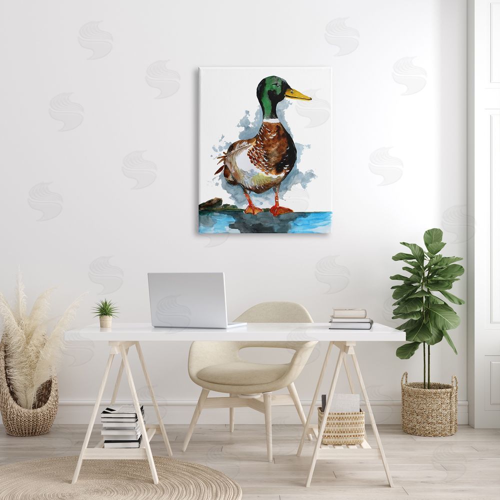 Sebastian Grafmann Mallard Duck Water's Edge 