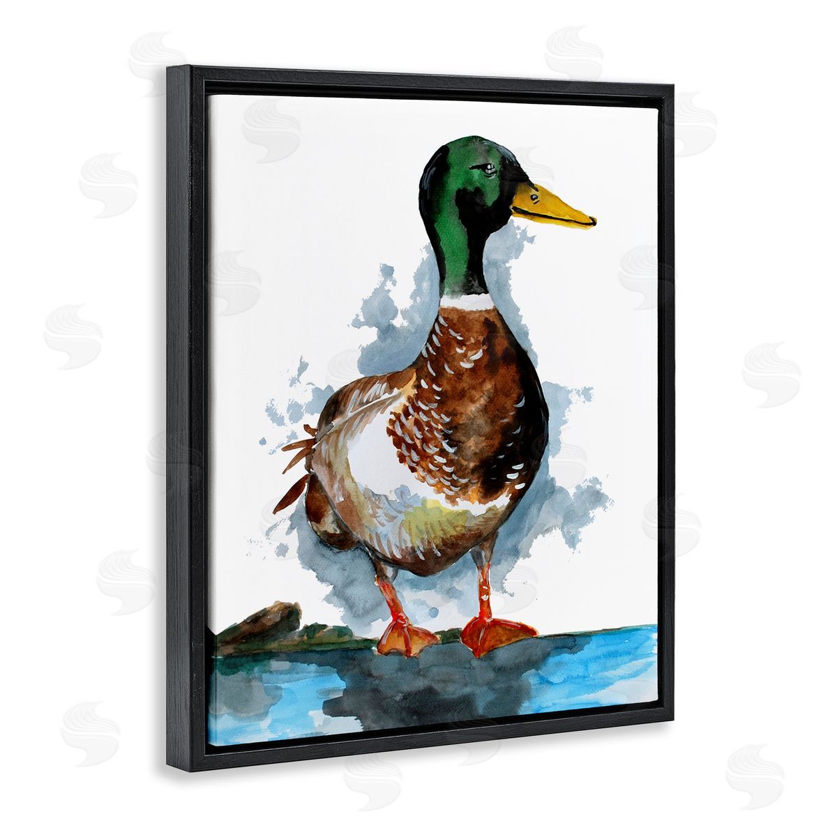 Sebastian Grafmann Mallard Duck Water's Edge 
