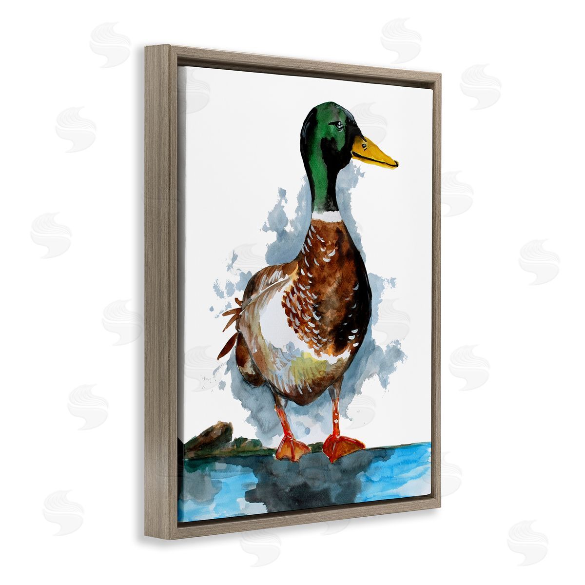 Sebastian Grafmann Mallard Duck Water's Edge 