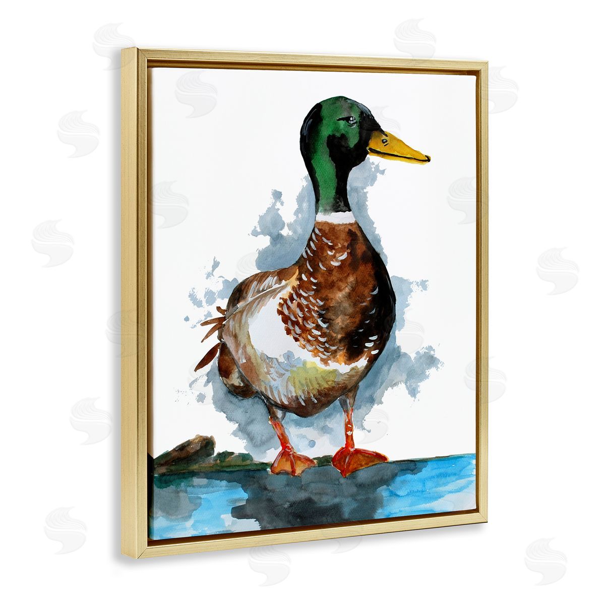 Sebastian Grafmann Mallard Duck Water's Edge 