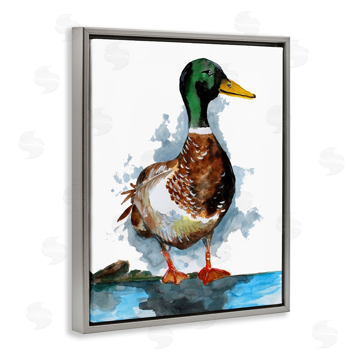 Sebastian Grafmann Mallard Duck Water's Edge 